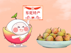 漫话EMC易倍丨一颗有“故事”的荔枝！！