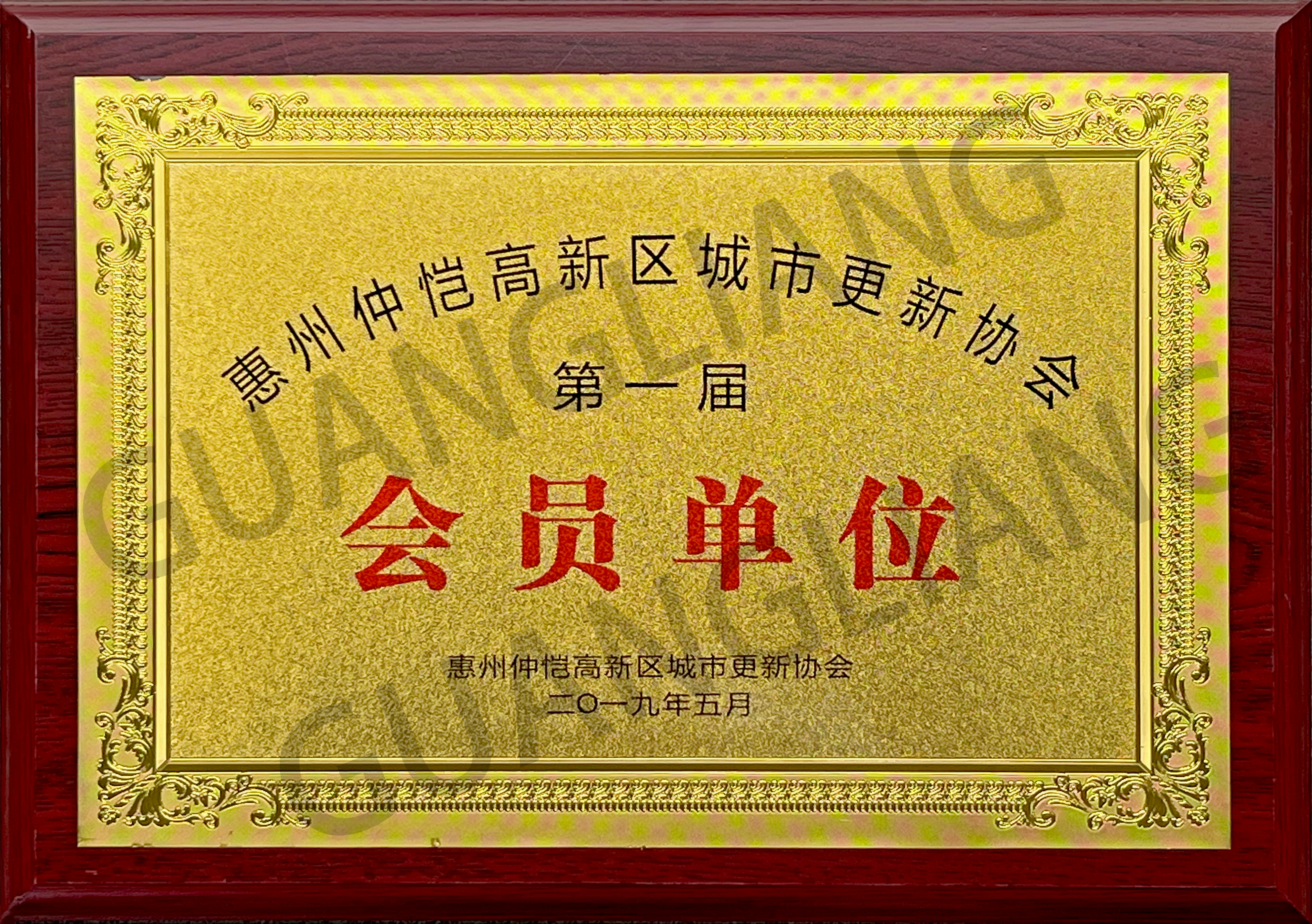 惠州仲恺高新区城市更新协会第一届会员单位
