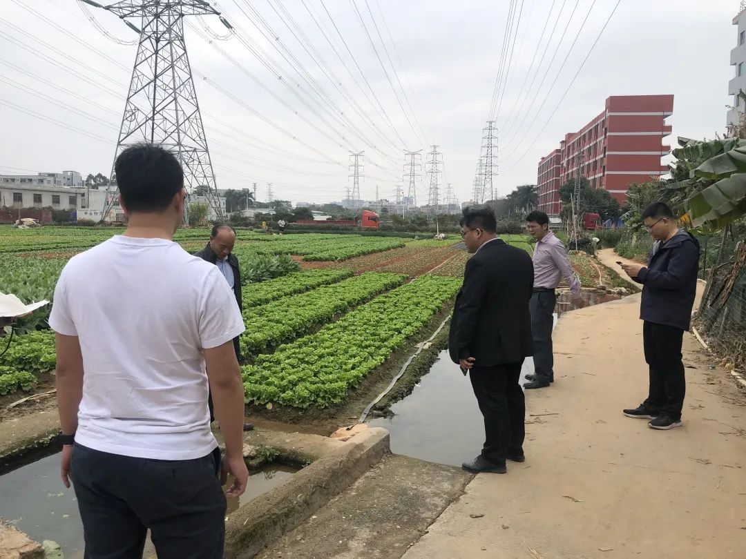 助力墟落振兴，EMC易倍一直在起劲！！！