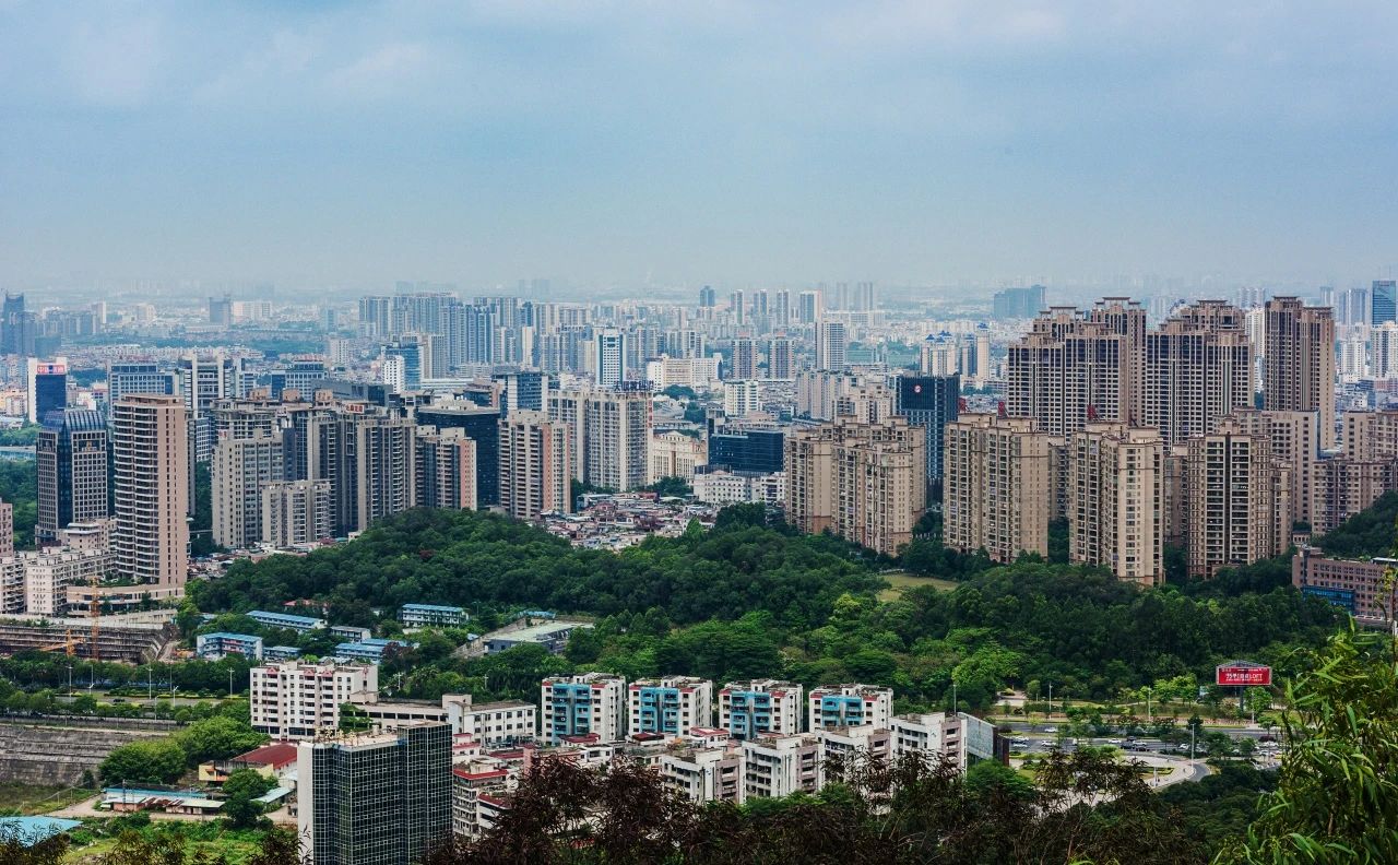 量圈丨东莞新章：：在旧时光里生长未来