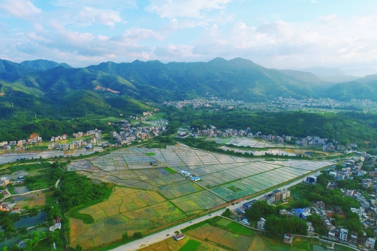 EMC易倍集团丨“百万万工程”显实效：云浮罗定泗纶镇以全域土地综合整治为抓手，，绘就墟落振兴新画卷