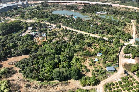 政策解读+实战案例！！！广东永农纠错新政落地，，，EMC易倍助镇街破局耕地；；